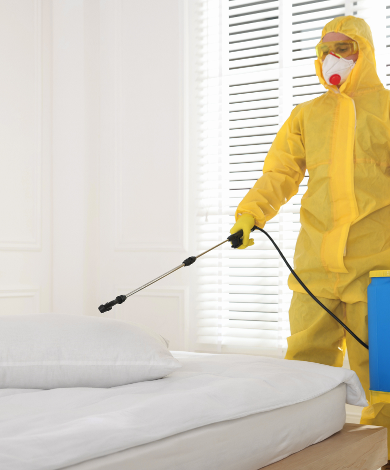 Professional Pest Control Team in Kangaroo Creek